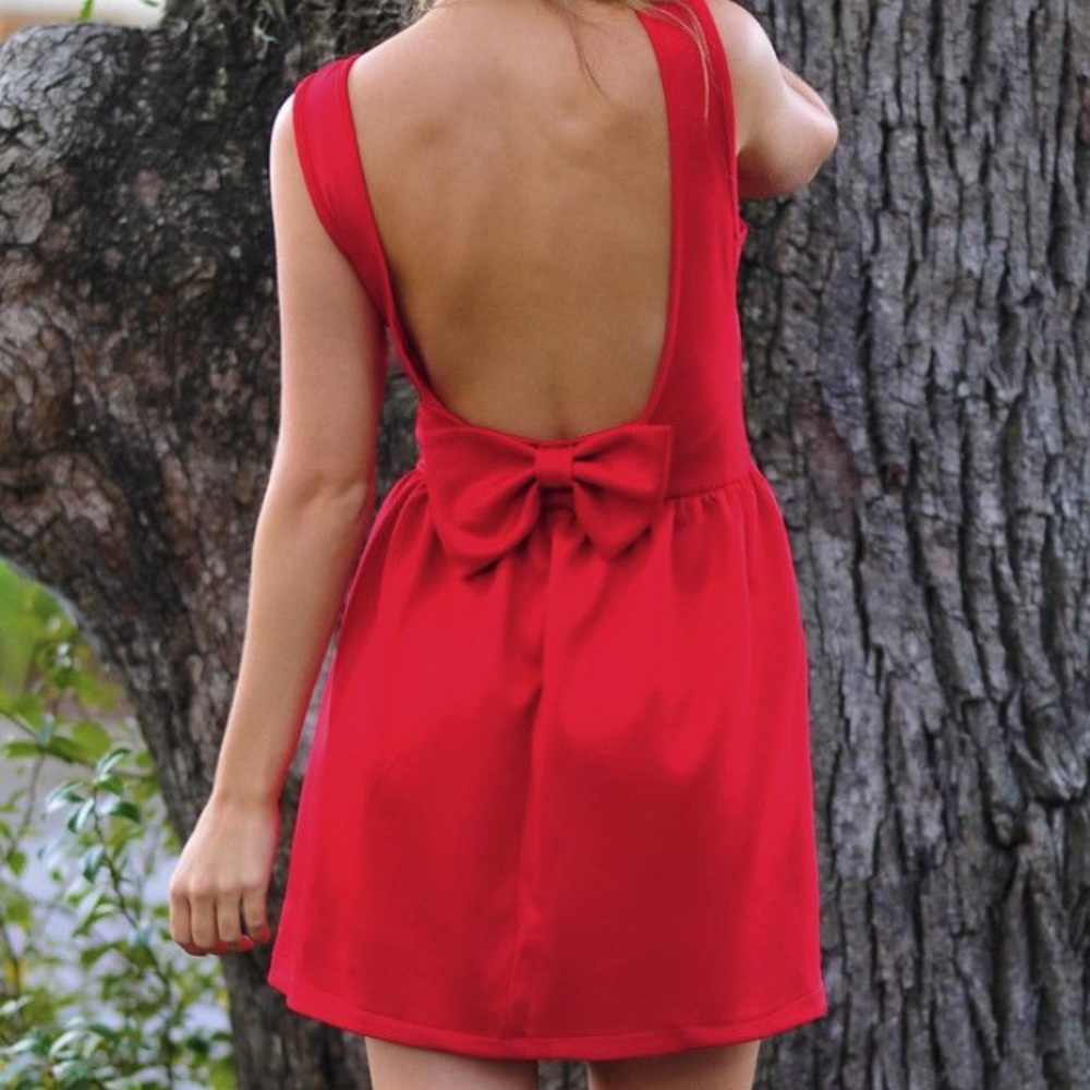 NWT Hopes A Bow Affair Dress Large